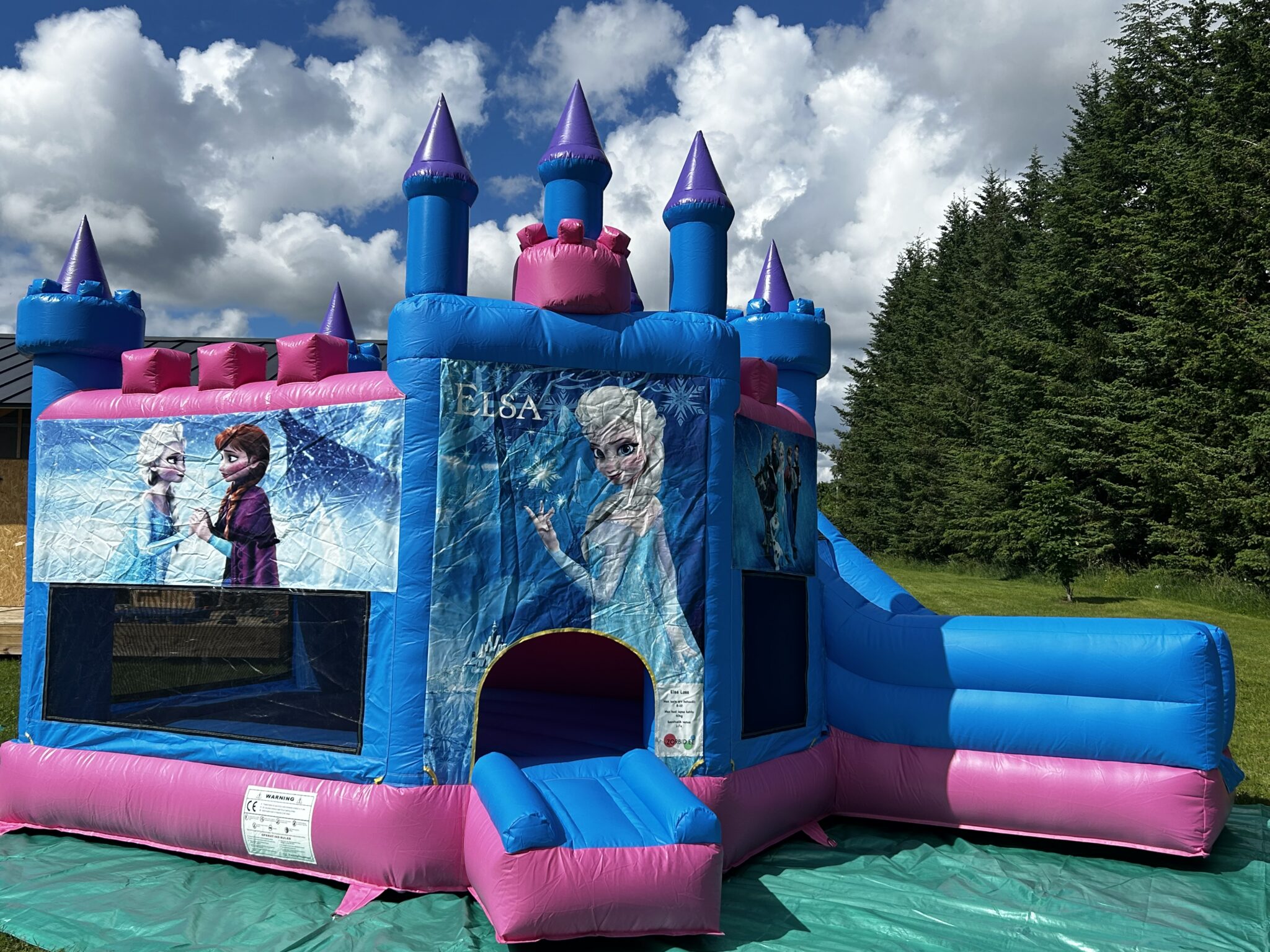 elsa 7